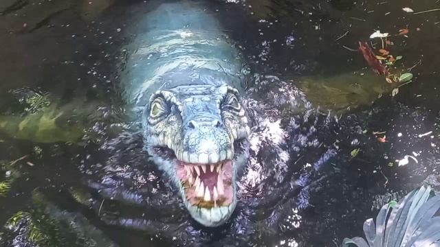 1000000848.mp4
