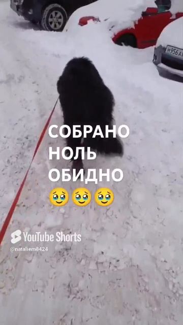 ЛЮДИ ДОБРЫЕ ПОМОГИТЕ 🙏🆘