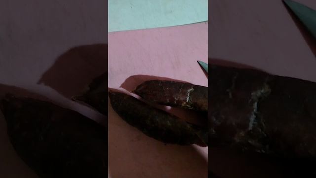 Копчёная домашняя колбаса +сало.