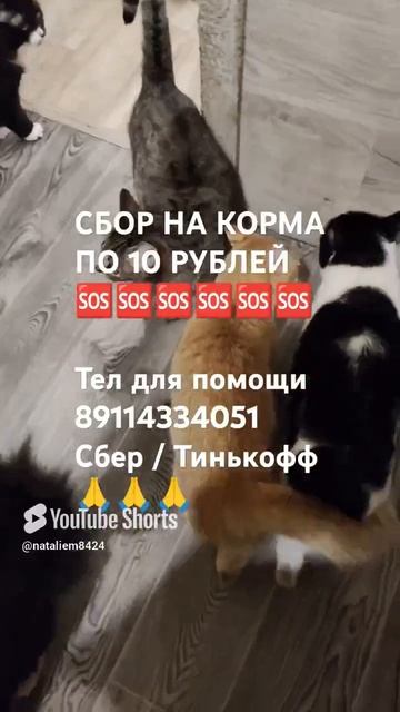 ЧЕЛОВЕК ПОМОГИ 🙏🆘
