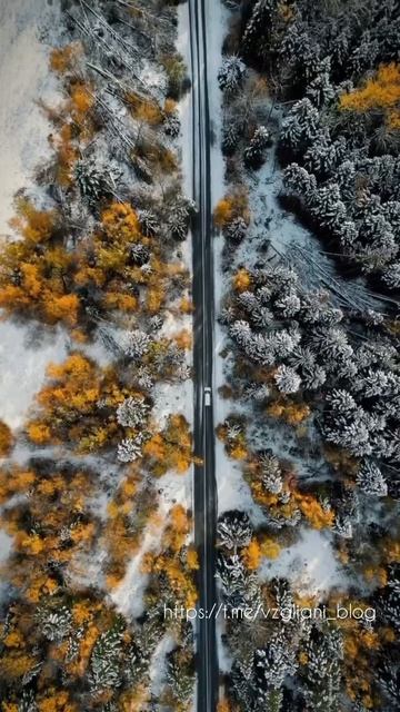 Ущелье Гонахчир, Карачаево-Черкесская Республика❄️https://t.me/vzgliani_blog #travel #nature #forest