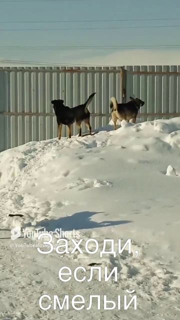 Заходи, если смелый.