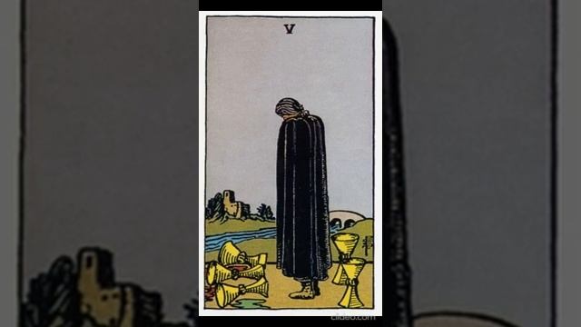 5 чаш