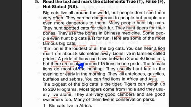 52 Spotlight 5. Сборник