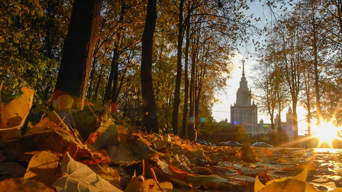 Московская осень. Посвящение бойцу не вернувшемуся с СВО...