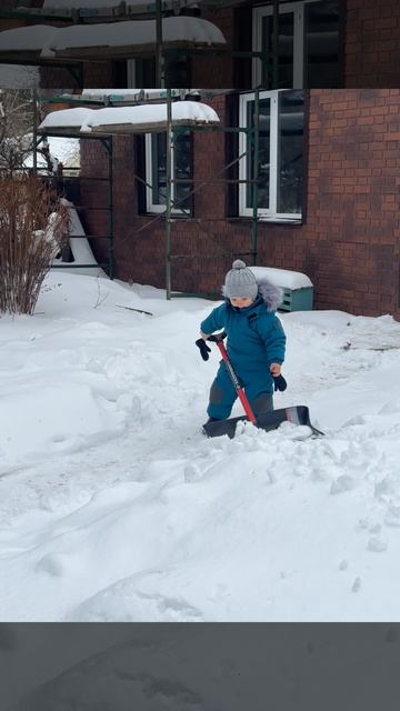 Дача сын