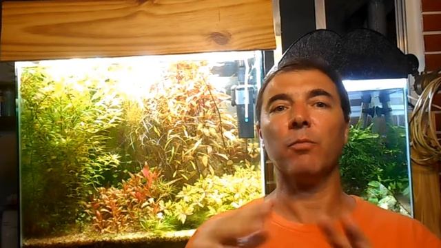 Lo importante de las Podas