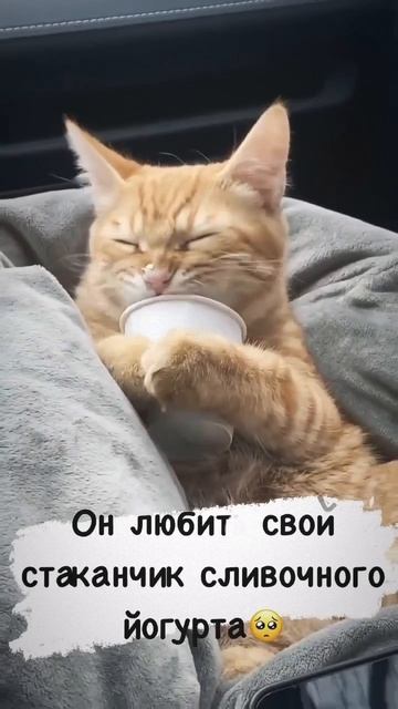 Ням-Ням😋