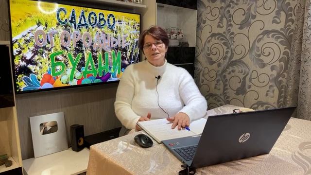 Пообщаемся в домашней обстановке (Итог сезона и планы на будущее)