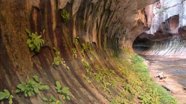 USA Fotoreisen Stefan Forster.MP4