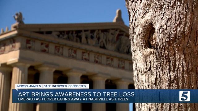 Artists carving into diseased Nashville ash trees to spread word of harmful Emerald Ash Borers