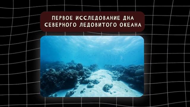 Разговоры О Важном с Евгением Егоровым 10 Февраля 2025 года | 10.02.25