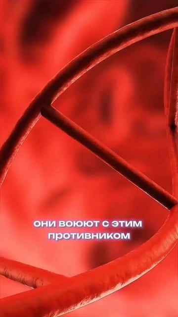 Облысение после увеличения груди