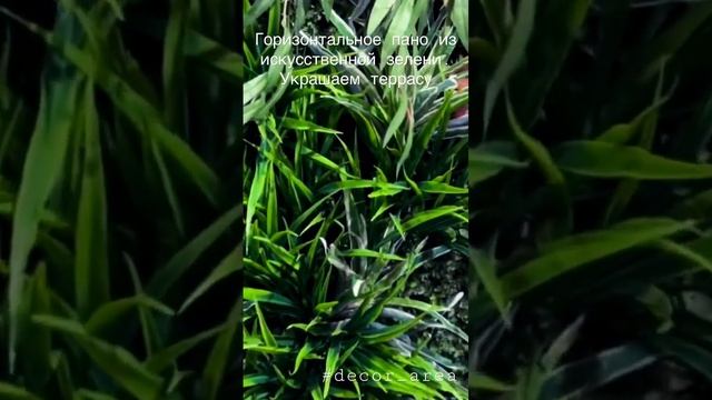 Природный пейзаж- уголок природы на стене