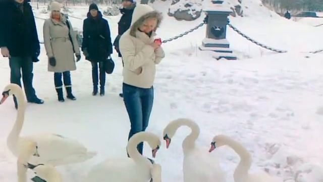 Дикие и голодные...