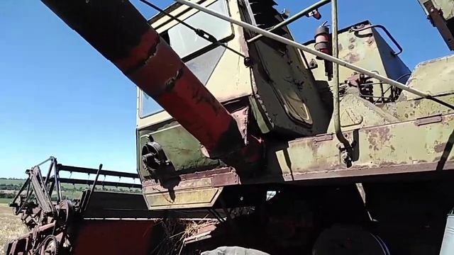 Паровая пшеница.Выгрузка