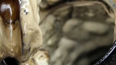 эмульсия двигателе автомобиля ВАЗ