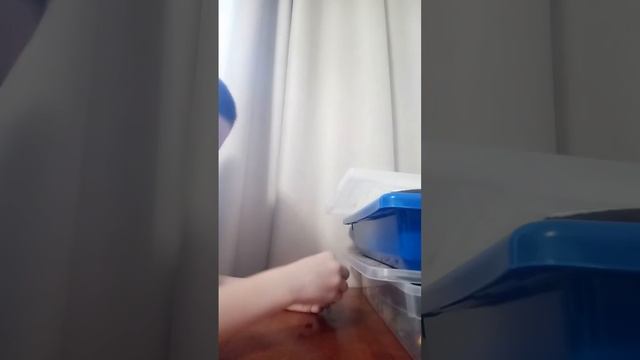 ручная граната