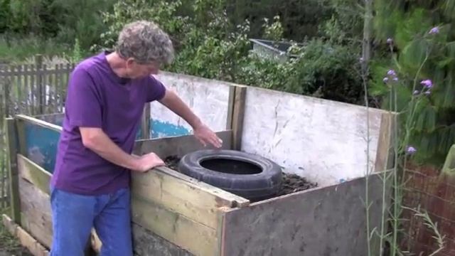 How to grow courgettes