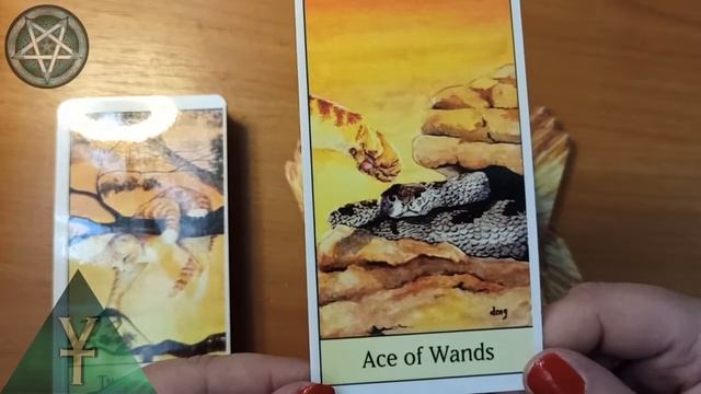 Обзор Cat’s Eye Tarot — Таро Кошачий Взгляд
