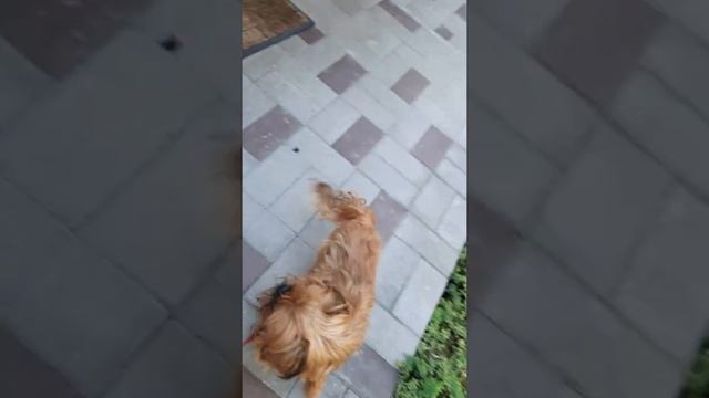 21 июня, в гостях у Леночки