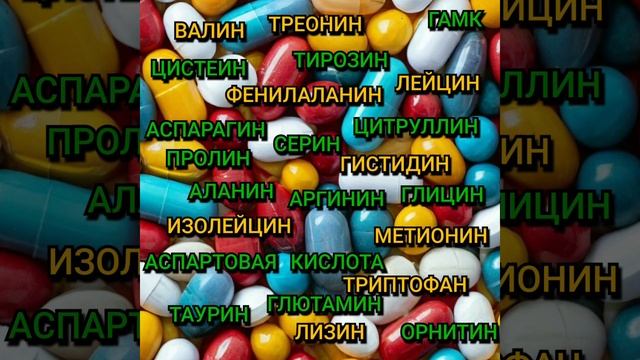 Аминокислоты: классификация, влияние на организм, содержание в продуктах, химическая формула.