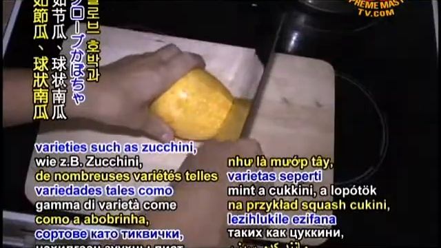 Tip of the Day - Summer squash - 7 Sep 2011