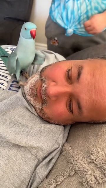 Доброе утро, страна!