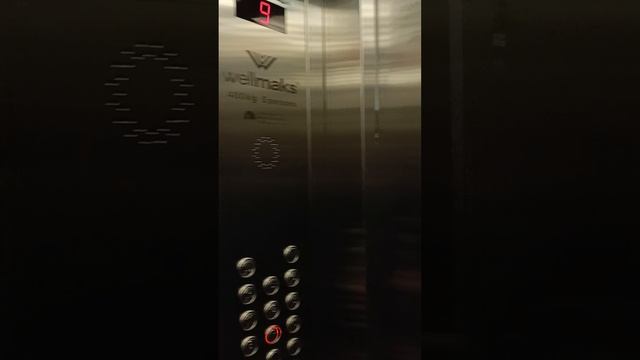 1000945352.mp4