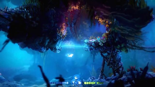 Ori and the will of the wisps - Magnifique bassin de Luma