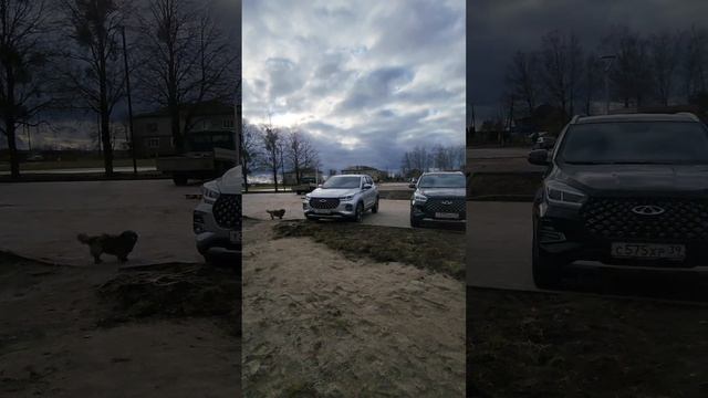 Chery семейный отдых