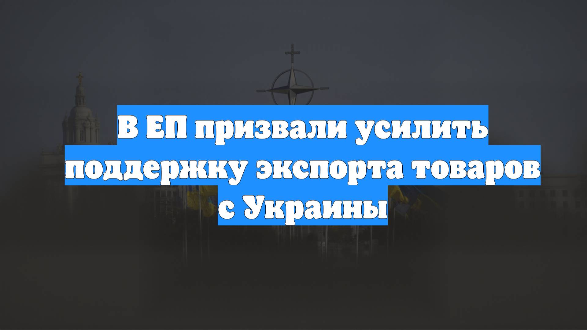 В ЕП призвали усилить поддержку экспорта товаров с Украины