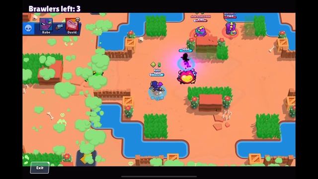 Tara Rank 25 in Solo Showdown - Tara Guide (6/70)