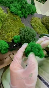 25a9eba96dc54cd1b7370555885a7577