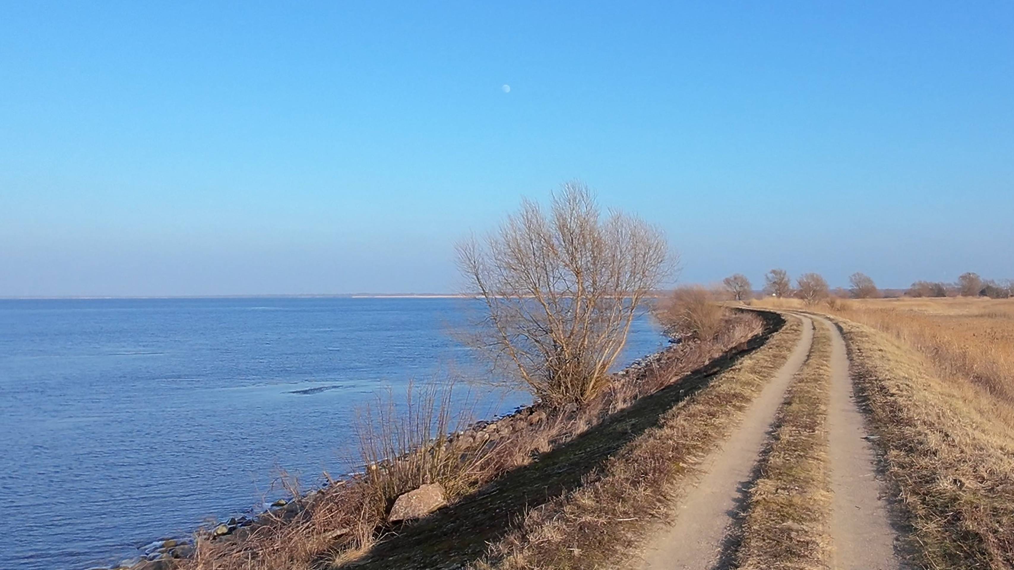 Прогулка по дамбе Красное Полесский район