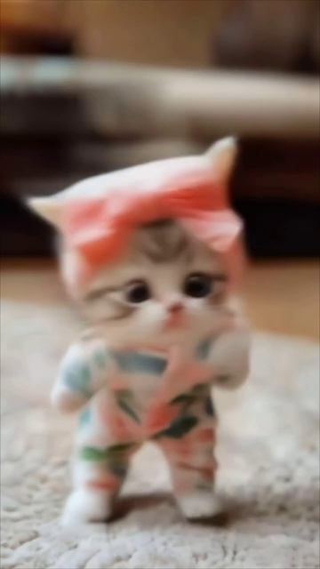 Котя мяу мяу