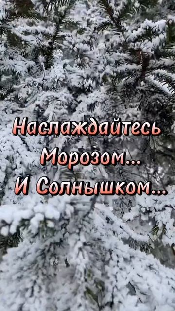 Февраль❄️зима❄️скоро весна 🌷