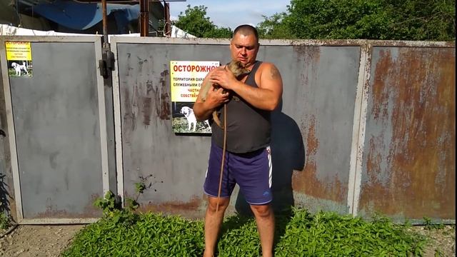 Лис , Тимофей Иванович! 3 месяца!