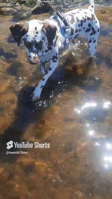 первое знакомство с водой