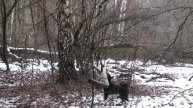 ИЛЮХА продолжение