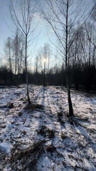 Продается земельный участок 20 соток в ДПК Миланкино, рядом с д. Лизуново, Александровский район