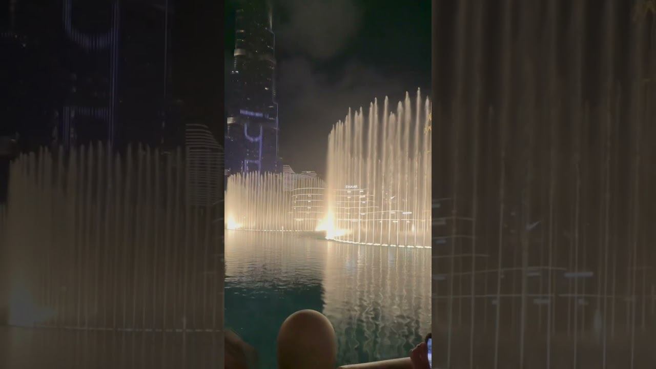 8 февраля 2024 г.