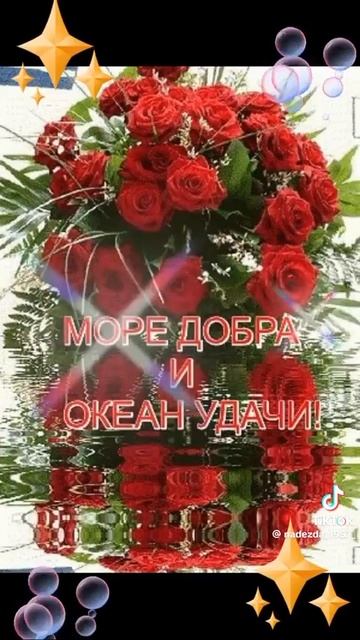 VID-20250210-WA0011