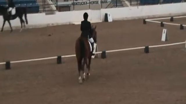 2015 USDF Training Level 1 Test