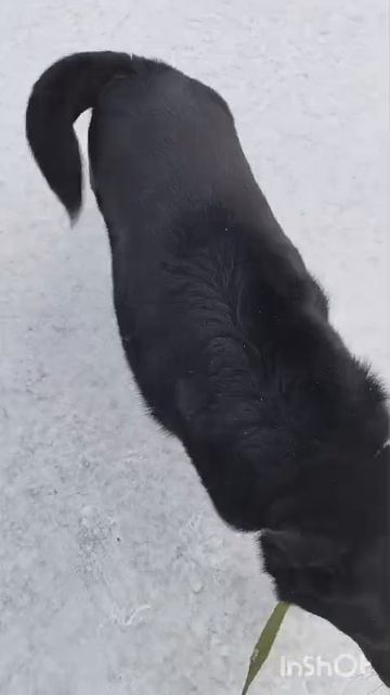 Джо