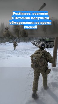 Postimees: военные в Эстонии получили обморожения во время учений