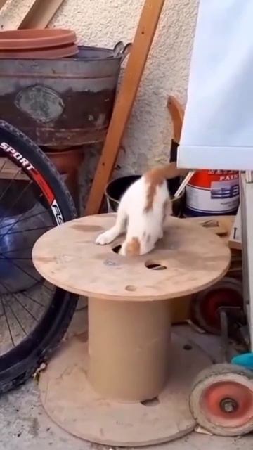 1000073273.mp4