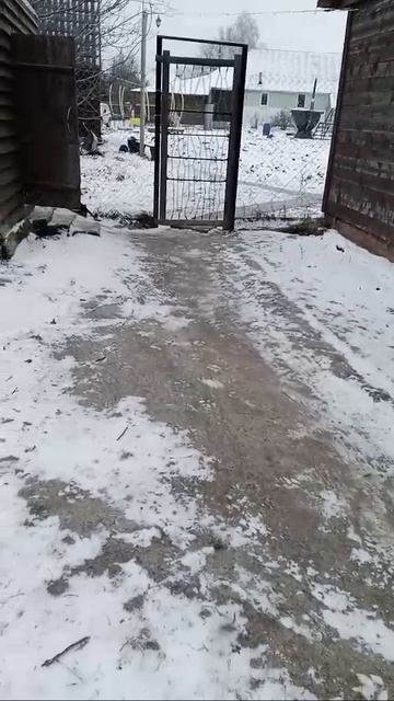 новый житель села Исады