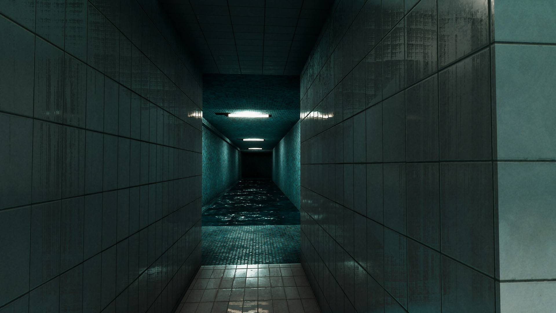 Backrooms Descent levl PoolRooms