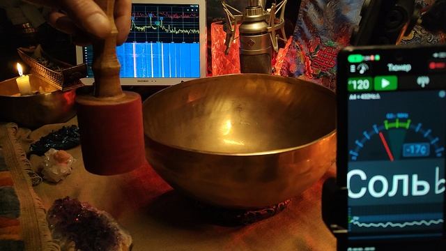 29.7см  29М5 соль 91 272 гц. 2931 гр